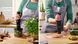 Bosch Blender submersible, 1000Вт, chopper, black