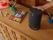 Портативна акустична система Sonos Move, Black 2 - магазин Coolbaba Toys