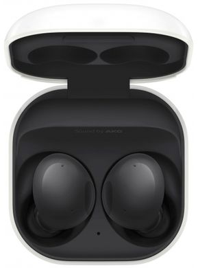 Бездротові навушники Samsung Galaxy Buds 2 (R177) Black SM-R177NZKASEK фото