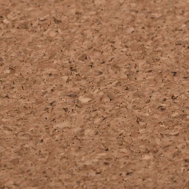 2E Килимок для миші CORK, M(450x400x2мм), коричневий 2E-PAD-M-CORK фото