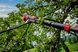 Einhell Секатор телескопічний акумуляторний GP-LS 18/28 Li T BL - Solo, PXC, 18В, безщітковий, товщ. 28/14 мм, сталь SK5, телескоп. ручка, 0.82 кг (без АКБ і ЗП) 11 - магазин Coolbaba Toys