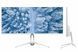 2E Монитор 25.7" D2621W HDMI, DP, Audio, IPS, 2560x1080, 21:9, 75Hz, FreeSync, White 6 - магазин Coolbaba Toys