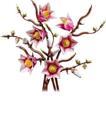 LEGO Конструктор LEGO Botanicals Гілки магнолії 11510 фото
