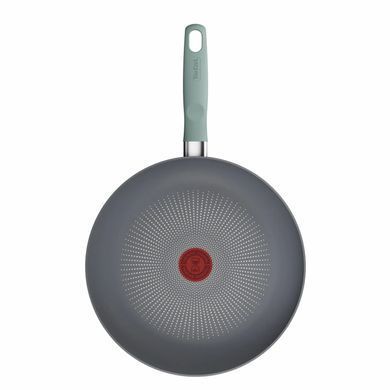 Tefal Сковорода Halo EUCALYPTUS, 28см, алюміній, бакеліт, сірий G0160602 фото
