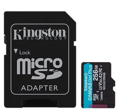 Карта памяти Kingston microSD 256GB C10 UHS-I U3 A2 R170/W90MB/s + SD SDCG3/256GB фото