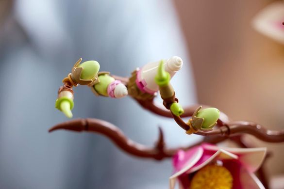 LEGO Конструктор LEGO Botanicals Гілки магнолії 11510 фото