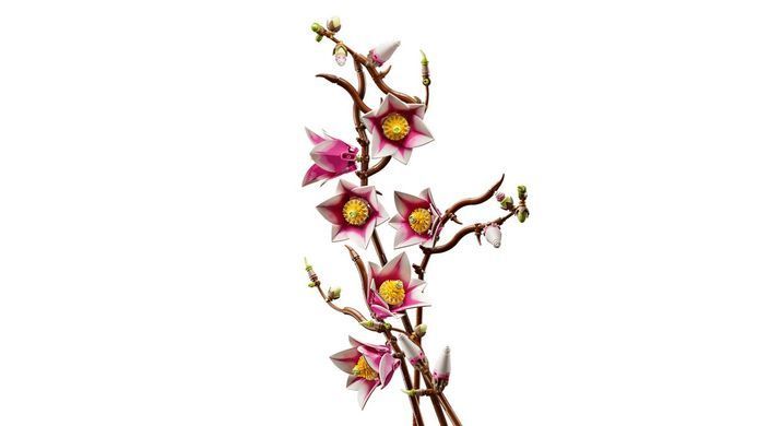 LEGO Конструктор LEGO Botanicals Гілки магнолії 11510 фото