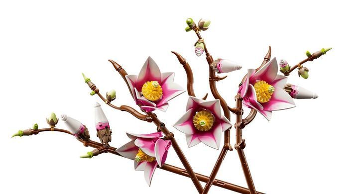 LEGO Конструктор LEGO Botanicals Гілки магнолії 11510 фото