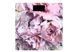ARDESTO Весы напольные PEONIES, 150кг, 2хААА в компл, стекло, разноцветные 1 - магазин Coolbaba Toys