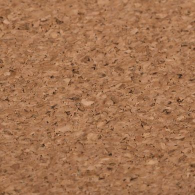 2E Килимок для миші CORK, L(800x400x2мм), коричневий 2E-PAD-L-CORK фото