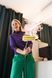 Karcher Пароочисник Karcher SC 3 Deluxe Anniversary Edition, 1900Вт, 1000мл, 3.5Бар, чорний 3 - магазин Coolbaba Toys