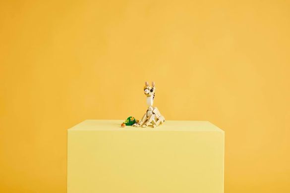 LEGO Конструктор LEGO Creator Чарівне кроленя 31162 фото