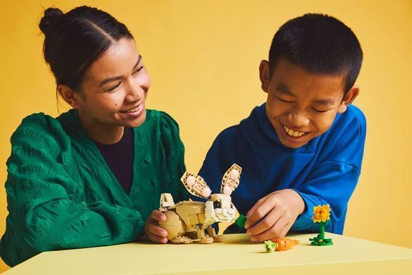 LEGO Конструктор LEGO Creator Чарівне кроленя 31162 фото