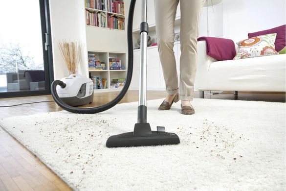 Karcher Пылесос моющий DS 6 Plus, 650Вт, вода -2 л, НЕРА, белый 1.195-252.0 фото