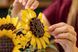 LEGO Конструктор LEGO Botanicals Букет соняшників 9 - магазин Coolbaba Toys