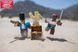 Roblox Ігрова колекційна фігурка Game Packs Cannoneers: Battle for Jolly Island W6 5 - магазин Coolbaba Toys