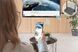 Digitus Система для презентацій Click & Present Pro - Wireless Collaboration System HDMI, 2xTX, 1xRX 8 - магазин Coolbaba Toys