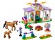 LEGO Конструктор Friends Тренування коня 1 - магазин Coolbaba Toys