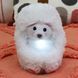 Інтерактивна іграшка CURLIMALS серії &laquo;Arctic Glow&raquo; - ПОЛЯРНИЙ ВЕДМЕДИК ПЕРРІ 5 - магазин Coolbaba Toys