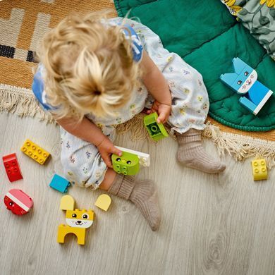LEGO Конструктор LEGO DUPLO My First Чарівні творчі домашні улюбленці 3 в 1 10477- фото