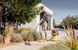 Karcher Господарський пилосос WD 5 V-25/5/22 , 1100 ВТ, 25л, 5м, 8.449 кг 2 - магазин Coolbaba Toys
