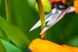 Neo Tools Ножиці садові, 18.5мм, 115г 8 - магазин Coolbaba Toys