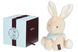 М'яка іграшка Kaloo Les Amis Кролик кремовий 25 см в коробці 2 - магазин Coolbaba Toys