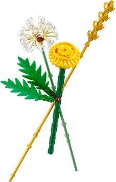 LEGO Конструктор LEGO recruitment Botanicals Польові квіти 30701 фото