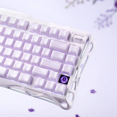 GravaStar Mechanical keyboard GravaStar Mercury K1 80keys, GravaStar x Kailh Cheery Pink, EN, BT/WL/USB, Lavender Purple GSK1_PL фото
