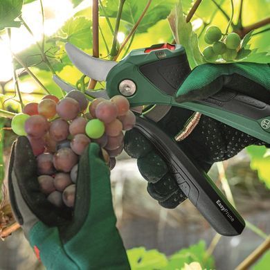 Bosch Секатор акумуляторний EasyPrune 0.600.8B2.102 0.600.8B2.102 фото