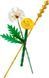 LEGO Конструктор LEGO recruitment Botanicals Польові квіти 1 - магазин Coolbaba Toys