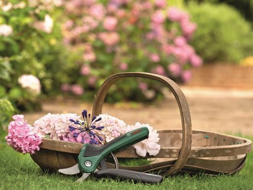 Bosch Секатор акумуляторний EasyPrune 0.600.8B2.102 0.600.8B2.102 фото