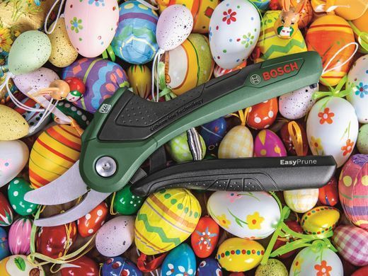 Bosch Секатор акумуляторний EasyPrune 0.600.8B2.102 0.600.8B2.102 фото