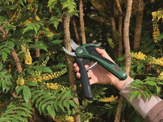 Bosch Секатор акумуляторний EasyPrune 0.600.8B2.102 0.600.8B2.102 фото