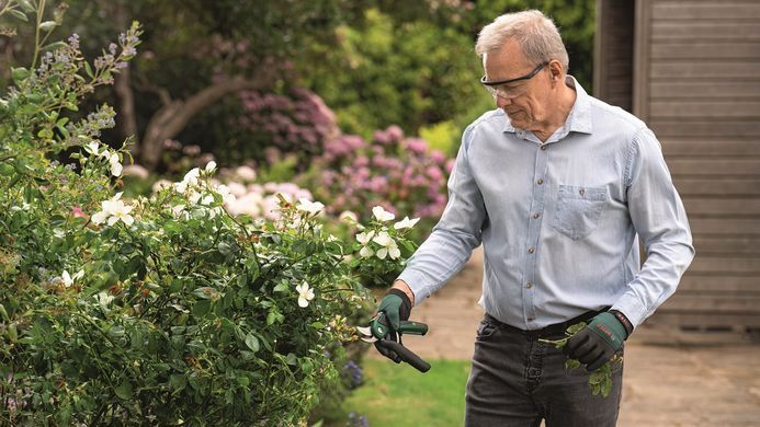 Bosch Секатор акумуляторний EasyPrune 0.600.8B2.102 0.600.8B2.102 фото