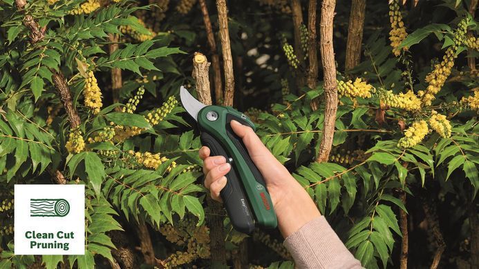 Bosch Секатор акумуляторний EasyPrune 0.600.8B2.102 0.600.8B2.102 фото