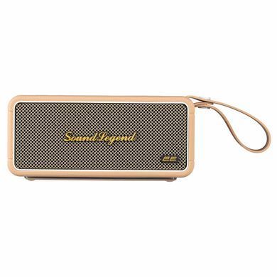 2E Портативная акустическая система 2E SoundLegend 80Вт, BT 5.3, TWS, FLAC, MP3, WAV, EQ, Power Bank, IPX6, RGB, Коричневый 2E-BSSLWBN фото