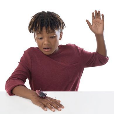 Интерактивная игрушка ROBO ALIVE - ТАРАКАН 7112 фото