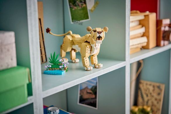 LEGO Конструктор LEGO Creator Дикі тварини: Величний лев 31386 фото