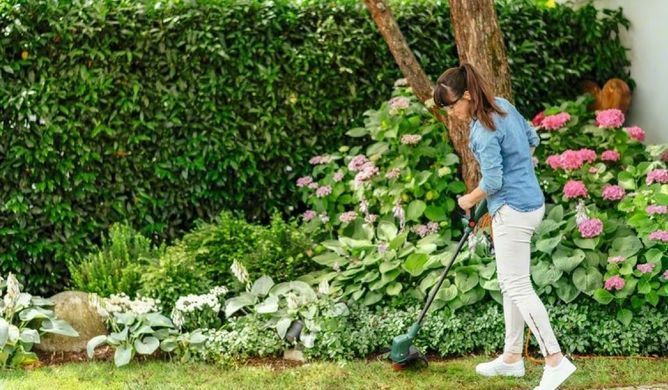 Bosch Триммер садовый аккумуляторный UniversalGrassCut 18V-26 26см 2.3кг (без АКБ и ЗУ) 0.600.8C1.D04 фото