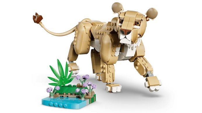 LEGO Конструктор LEGO Creator Дикі тварини: Величний лев 31386 фото