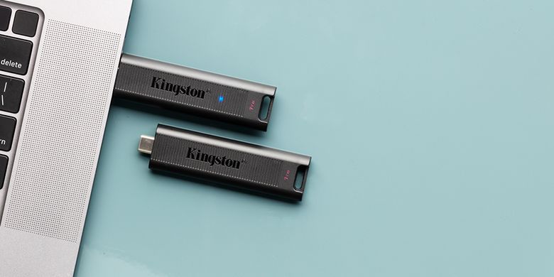 Накопичувач Kingston 256GB USB 3.2 Type-C Gen 2 DT Max DTMAX/256GB фото