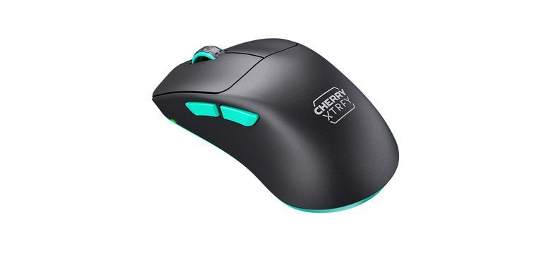 Cherry Xtrfy Мышь M64, WL/USB-A, RGB, черный CX-M64W-BLACK фото