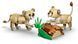 LEGO Конструктор LEGO Creator Дикі тварини: Величний лев 5 - магазин Coolbaba Toys