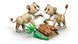 LEGO Конструктор LEGO Creator Дикі тварини: Величний лев 2 - магазин Coolbaba Toys