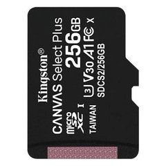Карта пам'яті Kingston microSD 256GB C10 UHS-I R100/W85MB/s - купити в інтернет-магазині Coolbaba Toys