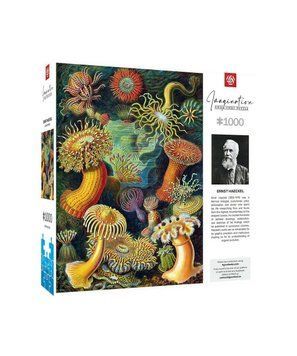GoodLoot Пазл Imagination: Ernst Haeckel: Sea Anemones/Stworzenia morskie Puzzles 1000 эл. 5908305244943 фото