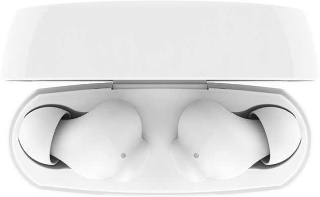 Belkin Навушники TWS Soundform Rhythm True Wireless, білий AUC010BTWH фото