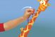 Электронная игра Splash Toys Жираф 5 - магазин Coolbaba Toys