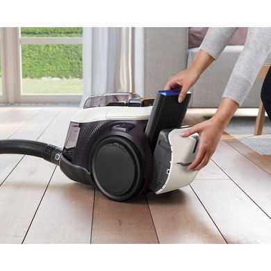 Electrolux Пилосос контейнерний, 650Вт, конт пил -1.6л, PureAdvantage D11, 4 насадки, білий PC91-ALRG фото